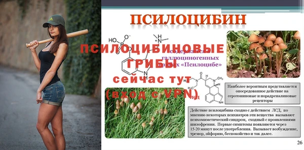 ГАЛЛЮЦИНОГЕННЫЕ ГРИБЫ Покачи