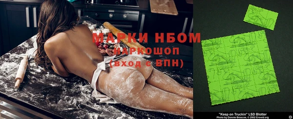 ГАЛЛЮЦИНОГЕННЫЕ ГРИБЫ Покачи
