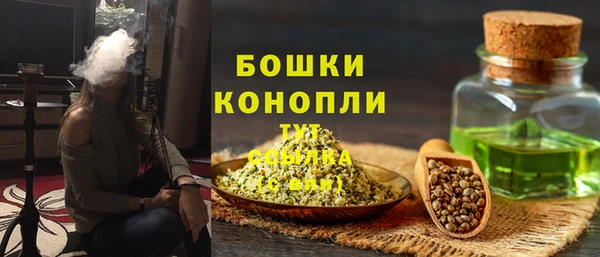ГАЛЛЮЦИНОГЕННЫЕ ГРИБЫ Покачи