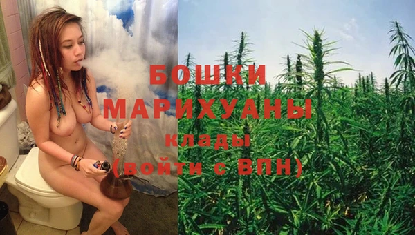ГАЛЛЮЦИНОГЕННЫЕ ГРИБЫ Покачи