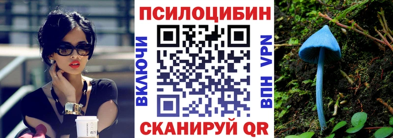 Купить  Ростов  Псилоцибиновые грибы мухоморы 